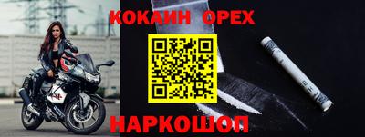 СК Кингисепп