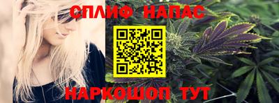 СК Кингисепп