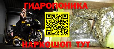 крисы Кимры
