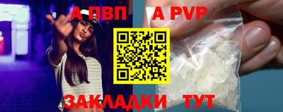 СК Кингисепп