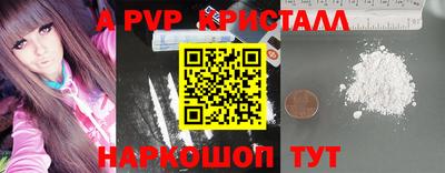 СК Кингисепп