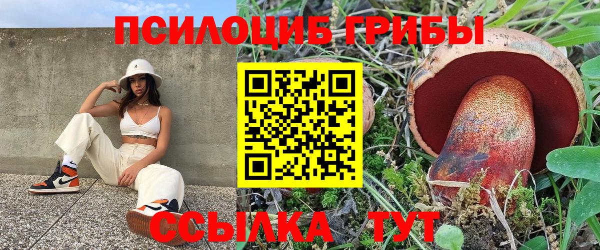 Галлюциногенные грибы мицелий  Галлюциногенные грибы Psilocybe  Вход с VPN  Барабинск 