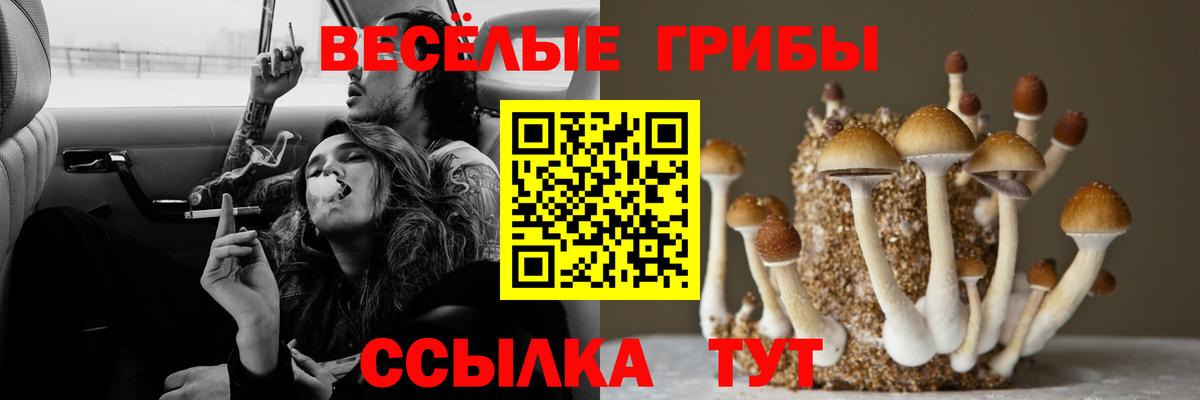 Галлюциногенные грибы Magic Shrooms Барабинск