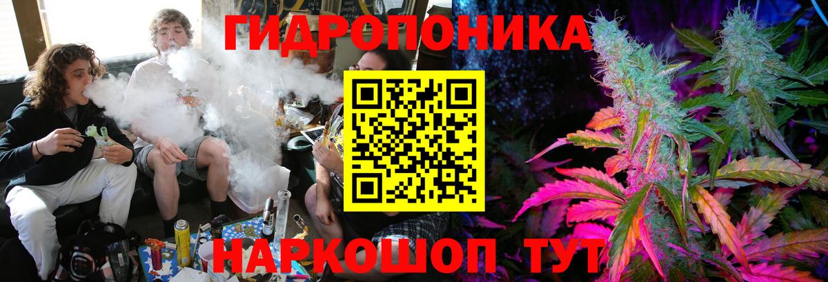 Бошки Шишки Bruce Banner  Марихуана семена  Шишки марихуана Bruce Banner  Барабинск  Вход с VPN 